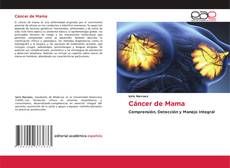 Bookcover of Cáncer de Mama
