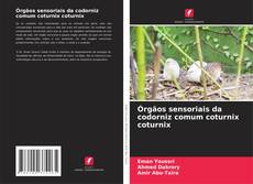 Buchcover von Órgãos sensoriais da codorniz comum coturnix coturnix