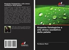 Bookcover of Risposte fisiologiche e allo stress ossidativo della patata