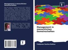 Bookcover of Management in menschlichen Gemeinschaften