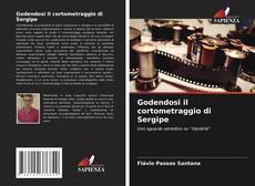 Godendosi il cortometraggio di Sergipe的封面