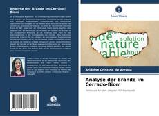 Analyse der Brände im Cerrado-Biom kitap kapağı