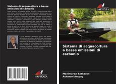 Couverture de Sistema di acquacoltura a basse emissioni di carbonio