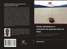 Copertina di Études génétiques et cellulaires du podocyte dans le FSGS