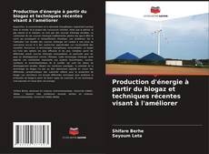 Production d'énergie à partir du biogaz et techniques récentes visant à l'améliorer kitap kapağı