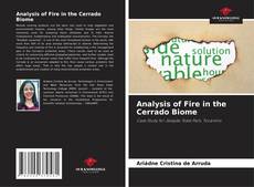 Bookcover of Analysis of Fire in the Cerrado Biome