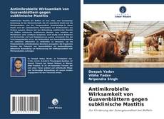 Antimikrobielle Wirksamkeit von Guavenblättern gegen subklinische Mastitis的封面