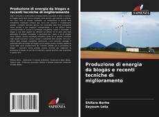 Copertina di Produzione di energia da biogas e recenti tecniche di miglioramento