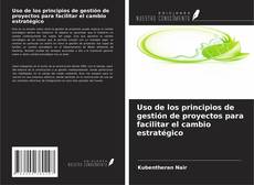 Uso de los principios de gestión de proyectos para facilitar el cambio estratégico kitap kapağı