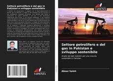 Copertina di Settore petrolifero e del gas in Pakistan e sviluppo sostenibile