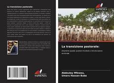 Borítókép a  La transizione pastorale: - hoz