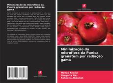 Couverture de Minimização da microflora da Punica granatum por radiação gama