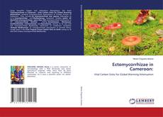 Ectomycorrhizae in Cameroon: kitap kapağı