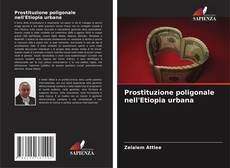 Prostituzione poligonale nell'Etiopia urbana的封面
