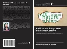 Обложка Análisis del fuego en el bioma del Cerrado