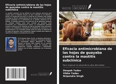 Couverture de Eficacia antimicrobiana de las hojas de guayaba contra la mastitis subclínica