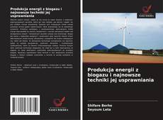 Copertina di Produkcja energii z biogazu i najnowsze techniki jej usprawniania