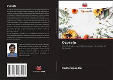 Cypsela的封面