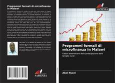 Buchcover von Programmi formali di microfinanza in Malawi