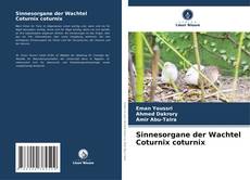 Buchcover von Sinnesorgane der Wachtel Coturnix coturnix
