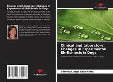 Borítókép a  Clinical and Laboratory Changes in Experimental Ehrlichiosis in Dogs - hoz