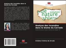 Bookcover of Analyse des incendies dans le biome du Cerrado