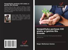 Geopolityka portowa XXI wieku w gminie Rio Grande kitap kapağı