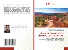 Bookcover of RÉSILIENCE D'UNE ROUTE EN TERRE À MADAGASCAR