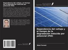 Dependencia del voltaje y el tiempo de la degradación inducida por potencial (PID) kitap kapağı