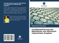 Copertina di Funktionalisierung der Oberfläche von thermisch reduziertem Graphen