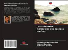 Couverture de Caractérisation moléculaire des éponges marines