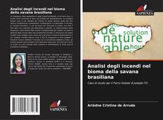 Bookcover of Analisi degli incendi nel bioma della savana brasiliana
