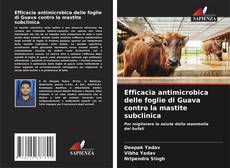 Capa do livro de Efficacia antimicrobica delle foglie di Guava contro la mastite subclinica 