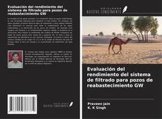 Copertina di Evaluación del rendimiento del sistema de filtrado para pozos de reabastecimiento GW