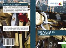 Buchcover von DESPUÉS DE LA TORMENTA