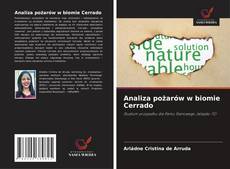 Buchcover von Analiza pożarów w biomie Cerrado
