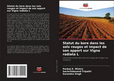 Обложка Statut du bore dans les sols rouges et impact de son apport sur Vigna radiata L
