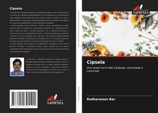 Cipsela kitap kapağı