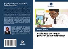 Qualitätssicherung in privaten Sekundarschulen的封面