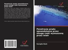 Bookcover of Penetracja prądu spowodowana przez smugę rzeki wymuszoną przez wiatr