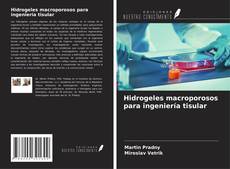 Borítókép a  Hidrogeles macroporosos para ingeniería tisular - hoz