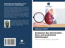 Обложка Anatomie des Harntrakts: Kurs und praktische Abbildungen