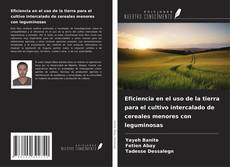 Обложка Eficiencia en el uso de la tierra para el cultivo intercalado de cereales menores con leguminosas