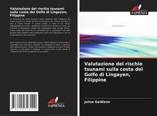 Bookcover of Valutazione del rischio tsunami sulla costa del Golfo di Lingayen, Filippine