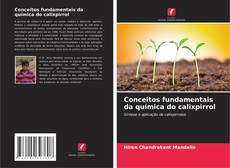Обложка Conceitos fundamentais da química do calixpirrol