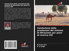 Buchcover von Valutazione delle prestazioni del sistema di filtrazione per pozzi di ricarica GW