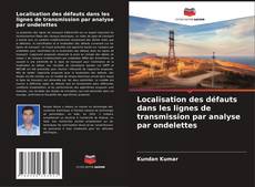 Localisation des défauts dans les lignes de transmission par analyse par ondelettes的封面