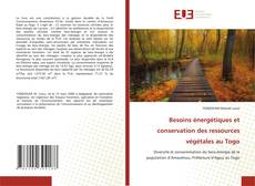 Capa do livro de Besoins énergétiques et conservation des ressources végétales au Togo 