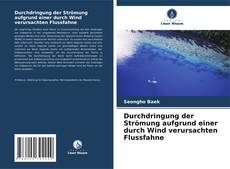 Copertina di Durchdringung der Strömung aufgrund einer durch Wind verursachten Flussfahne