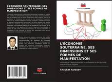 L'ÉCONOMIE SOUTERRAINE, SES DIMENSIONS ET SES FORMES DE MANIFESTATION kitap kapağı